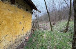 Teren 2.038 mp + Casă 50 mp de vânzare – Sat Luncsoru, Com. Ghercești