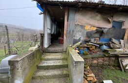 Teren 2.038 mp + Casă 50 mp de vânzare – Sat Luncsoru, Com. Ghercești