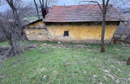Teren 2.038 mp + Casă 50 mp de vânzare – Sat Luncsoru, Com. Ghercești
