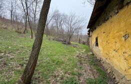 Teren 2.038 mp + Casă 50 mp de vânzare – Sat Luncsoru, Com. Ghercești