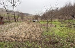 Teren 2.038 mp + Casă 50 mp de vânzare – Sat Luncsoru, Com. Ghercești