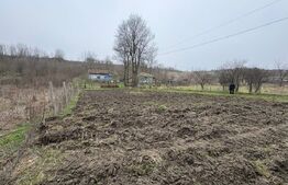 Teren 2.038 mp + Casă 50 mp de vânzare – Sat Luncsoru, Com. Ghercești