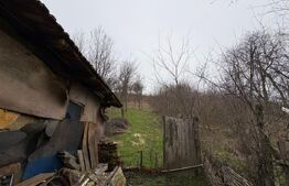 Teren 2.038 mp + Casă 50 mp de vânzare – Sat Luncsoru, Com. Ghercești