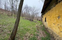 Teren 2.038 mp + Casă 50 mp de vânzare – Sat Luncsoru, Com. Ghercești