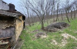 Teren 2.038 mp + Casă 50 mp de vânzare – Sat Luncsoru, Com. Ghercești