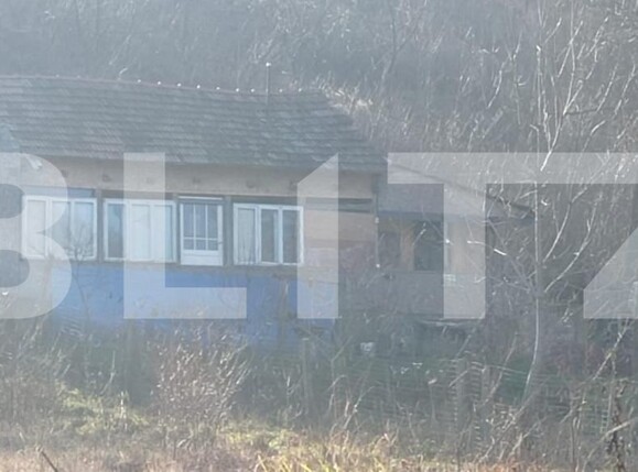 Teren de vânzare Ghercesti - 189178TV | BLITZ Craiova | Poza3