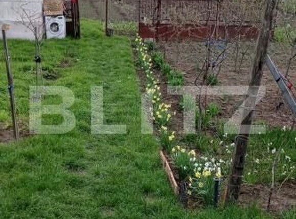 Teren de vânzare Ghercesti - 189178TV | BLITZ Craiova | Poza2