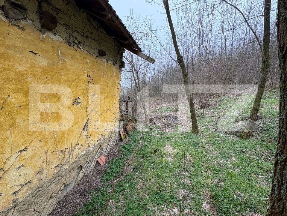 Teren de vânzare Ghercesti - 189178TV | BLITZ Craiova | Poza8
