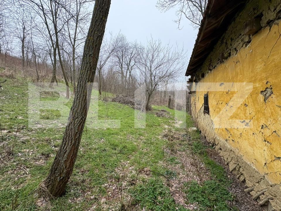 Teren de vânzare Ghercesti - 189178TV | BLITZ Craiova | Poza7