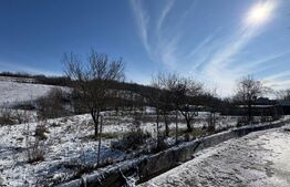 Teren intravilan 1.000 mp împrejmuit – Luncșoru, comuna Ghercești
