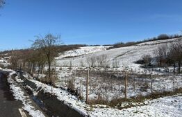 Teren intravilan 1.000 mp împrejmuit – Luncșoru, comuna Ghercești