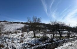 Teren intravilan 1.000 mp împrejmuit – Luncșoru, comuna Ghercești