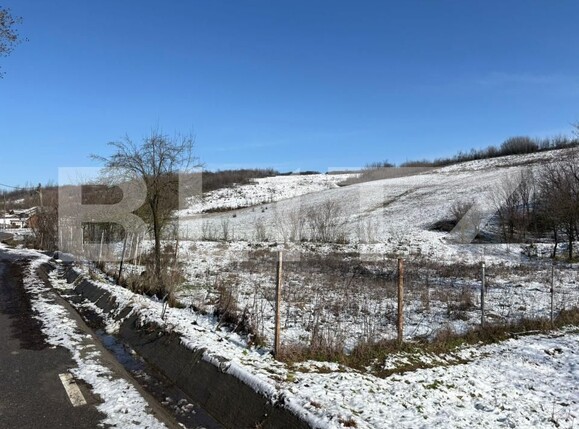 Teren de vânzare Ghercesti - 189179TV | BLITZ Craiova | Poza1