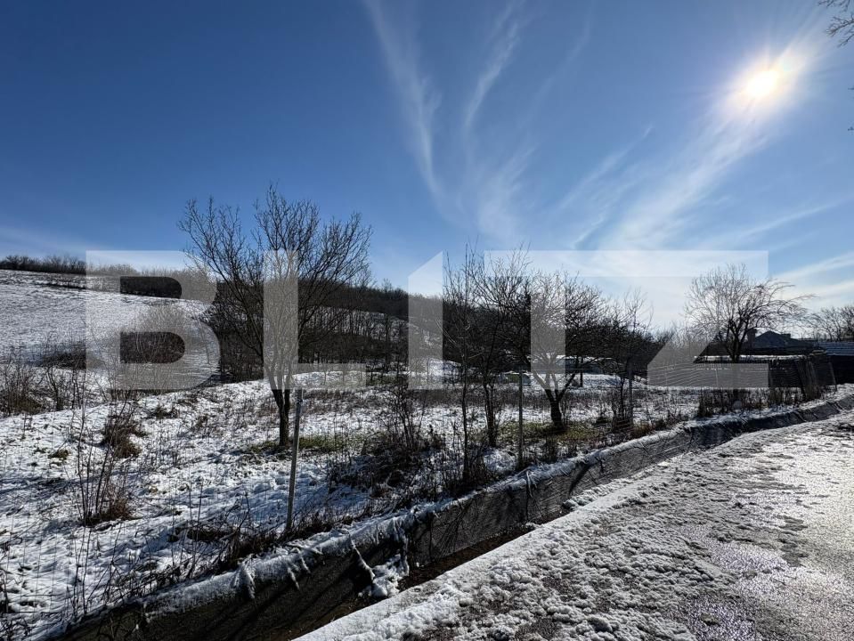 Teren de vânzare Ghercesti - 189179TV | BLITZ Craiova | Poza3