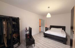 Apartament 2 camere, 50 mp, Strada Unirii