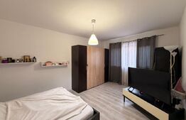 Apartament 2 camere, 50 mp, Strada Unirii