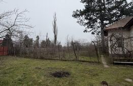 Casa parter 2714 mp teren, front 104 ml, strada principala Caciulatesti