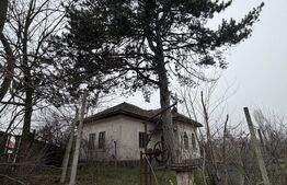 Casa parter 2714 mp teren, front 104 ml, strada principala Caciulatesti