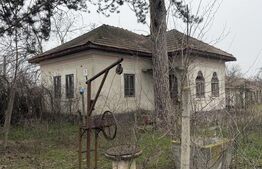 Casa parter 2714 mp teren, front 104 ml, strada principala Caciulatesti