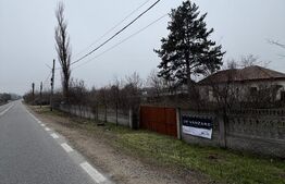 Casa parter 2714 mp teren, front 104 ml, strada principala Caciulatesti