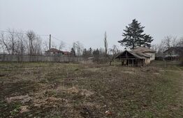 Casa parter 2714 mp teren, front 104 ml, strada principala Caciulatesti