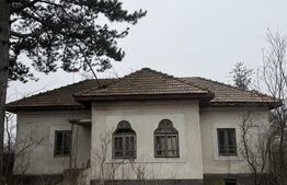 Casa parter 2714 mp teren, front 104 ml, strada principala Caciulatesti