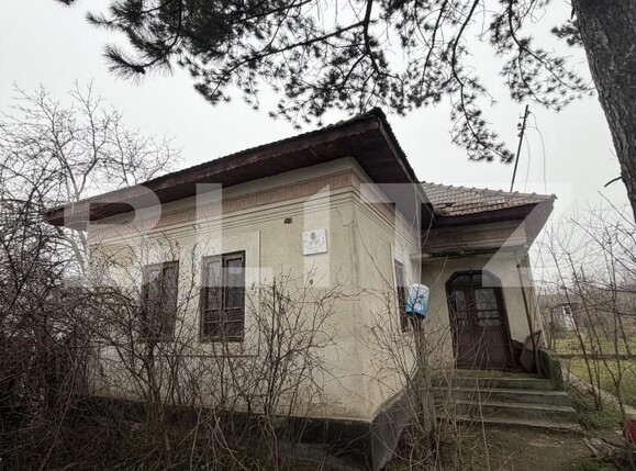 Casa de vânzare 3 camere Exterior Sud - 189246CV | BLITZ Craiova | Poza10