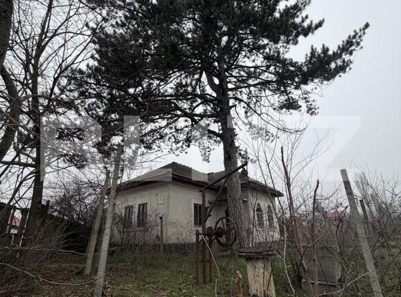 Casa de vânzare 3 camere Exterior Sud - 189246CV | BLITZ Craiova | Poza2