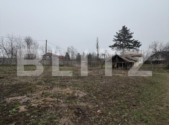 Casa de vânzare 3 camere Exterior Sud - 189246CV | BLITZ Craiova | Poza5