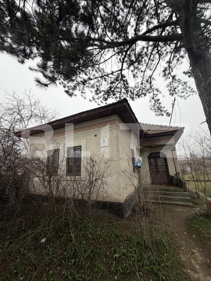 Casa de vânzare 3 camere Exterior Sud - 189246CV | BLITZ Craiova | Poza10
