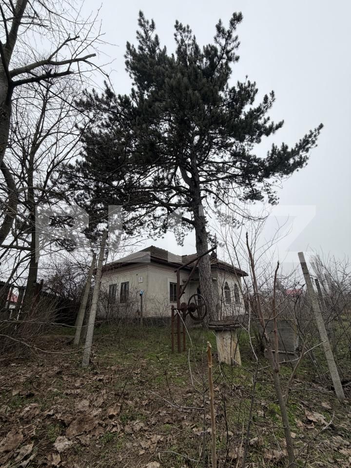 Casa de vânzare 3 camere Exterior Sud - 189246CV | BLITZ Craiova | Poza2