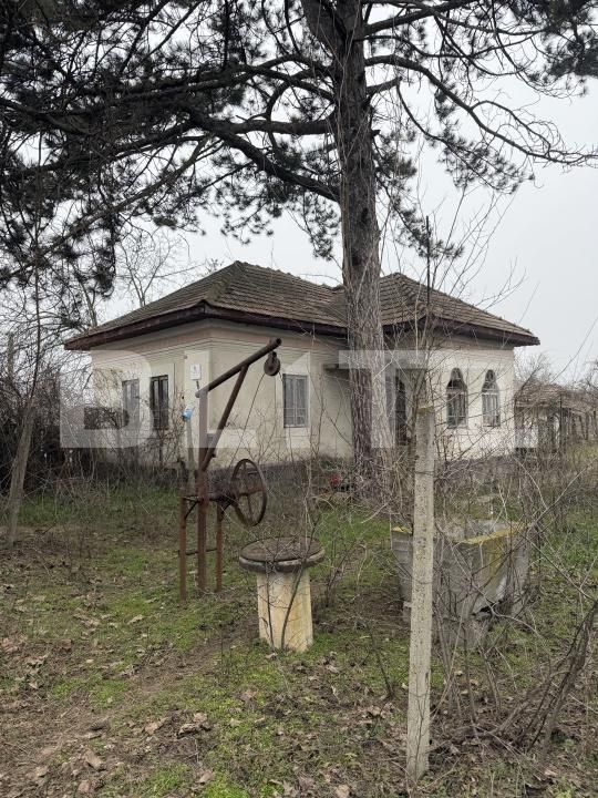 Casa de vânzare 3 camere Exterior Sud - 189246CV | BLITZ Craiova | Poza7