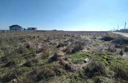 Lot 5 parcele intravilan, Metro, 7439 mp, acces la utilitati