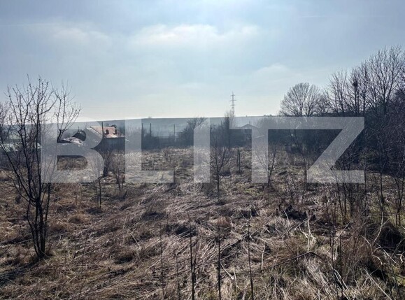 Teren de vânzare Ghercesti - 189342TV | BLITZ Craiova | Poza5