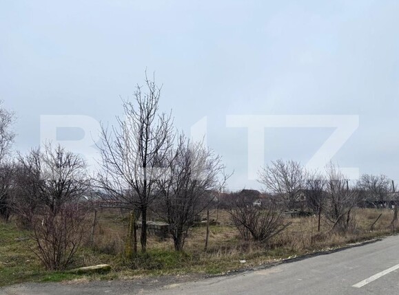 Teren de vânzare Podari - 189356TV | BLITZ Craiova | Poza4