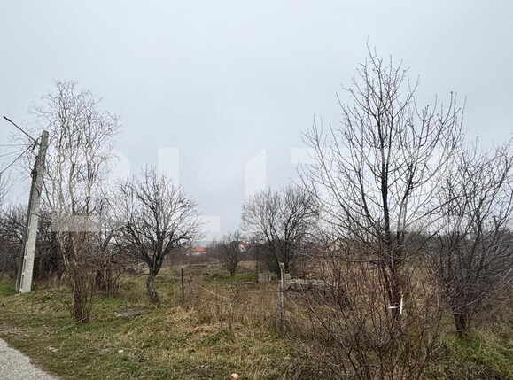 Teren de vânzare Podari - 189356TV | BLITZ Craiova | Poza5