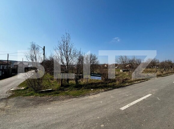 Teren de vânzare Podari - 189356TV | BLITZ Craiova | Poza2