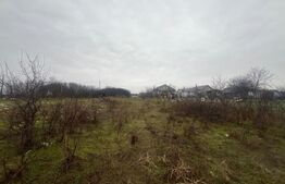 Teren intravilan, 2298 mp, strada Robanesti