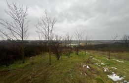 Teren intravilan, 2298 mp, strada Robanesti