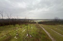 Teren intravilan, 2298 mp, strada Robanesti