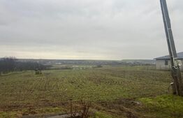 Teren intravilan, 2298 mp, strada Robanesti