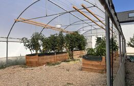 Casă cu piscină, 320 mp, teren 1.120 mp,  aproape Mall Electroputere