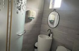 Spatiu comercial P+1, 440 mp, zona Brazda lui Novac 