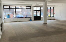 Spatiu comercial de inchiriat, 180mp, Magnolia