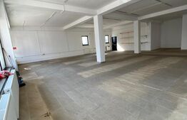 Spatiu comercial de inchiriat, 180mp, Magnolia