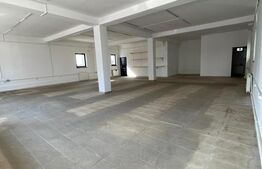 Spatiu comercial de inchiriat, 180mp, Magnolia