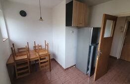 Apartament 2 camere, spatiu birouri, 54 mp, zona Brazda lui Novac
