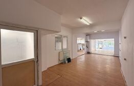 Spațiu comercial P + E + M, 308 mp utili, zona Medicina Veche