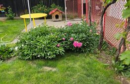 Casa parter Filiasi, renovata complet, 140 mp utili, 1187 mp teren