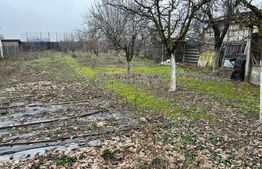 Casa parter Filiasi, renovata complet, 140 mp utili, 1187 mp teren